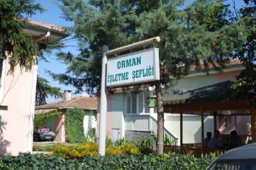 Kepsut’a Orman İşletme Müdürlüğü kuruluyor 