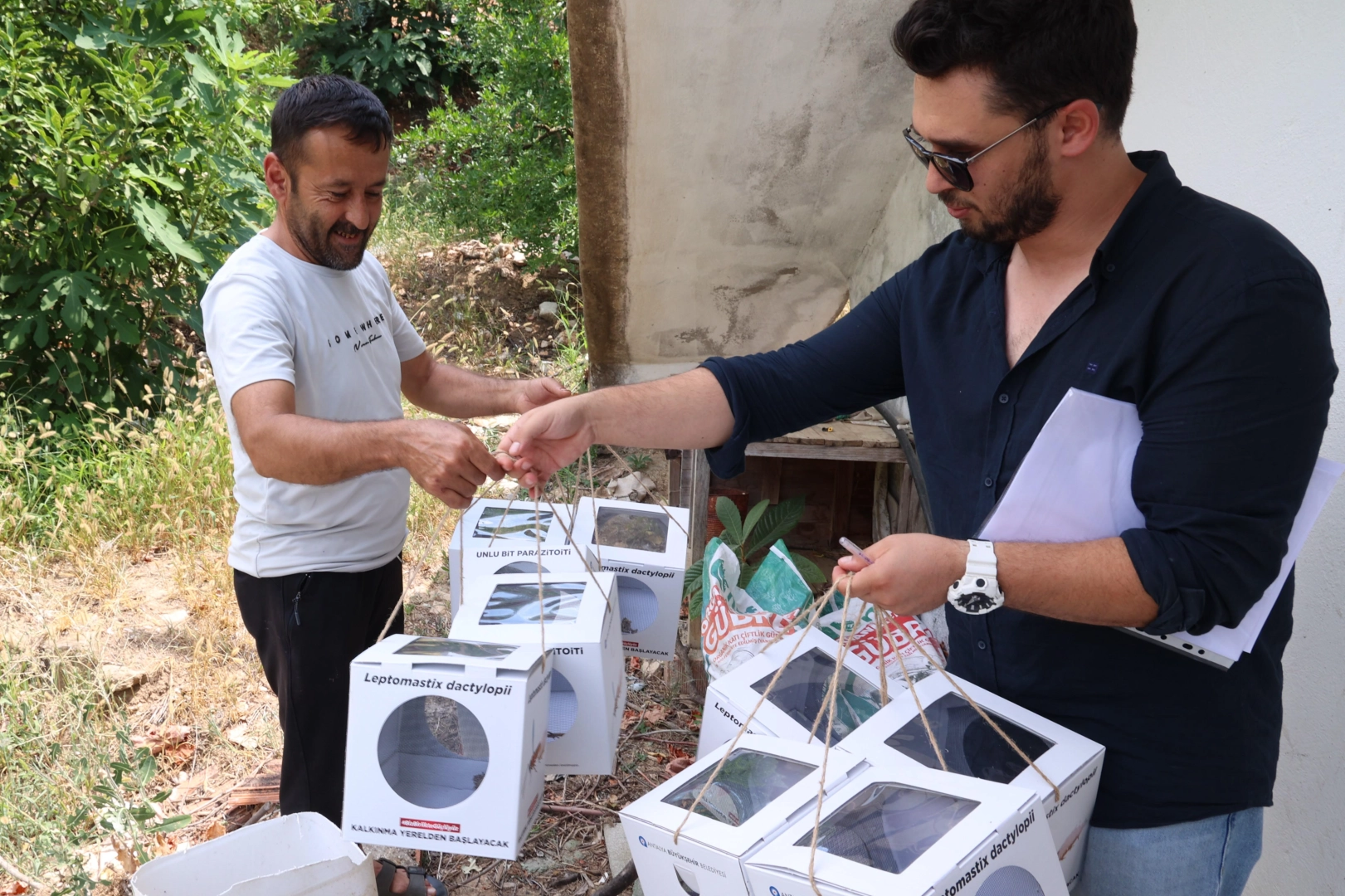 Antalya'da 800 dekar araziye faydalı böcek desteği 