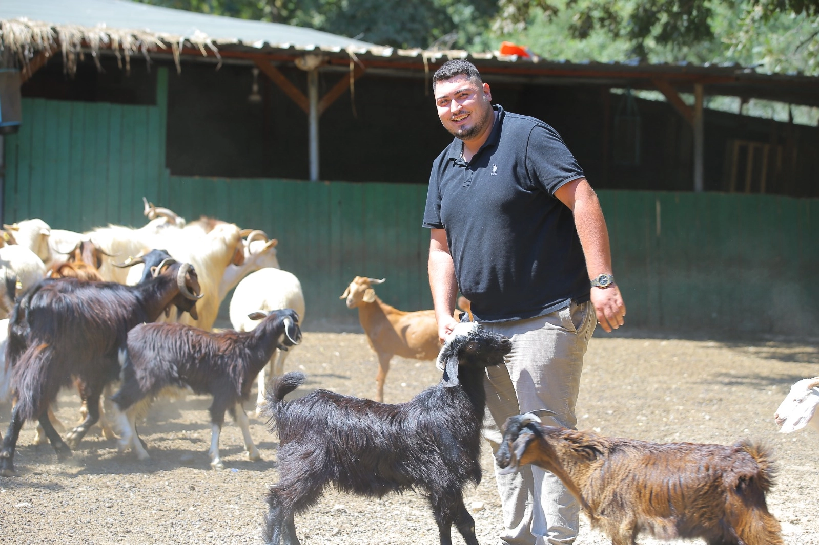 Adak kesimine gitti hayatı değişti! İki oğlakla başladı, 500 hayvana ulaştı 