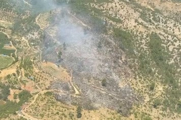 Bursa ve İzmir’de 3 yangın kontrol altında 