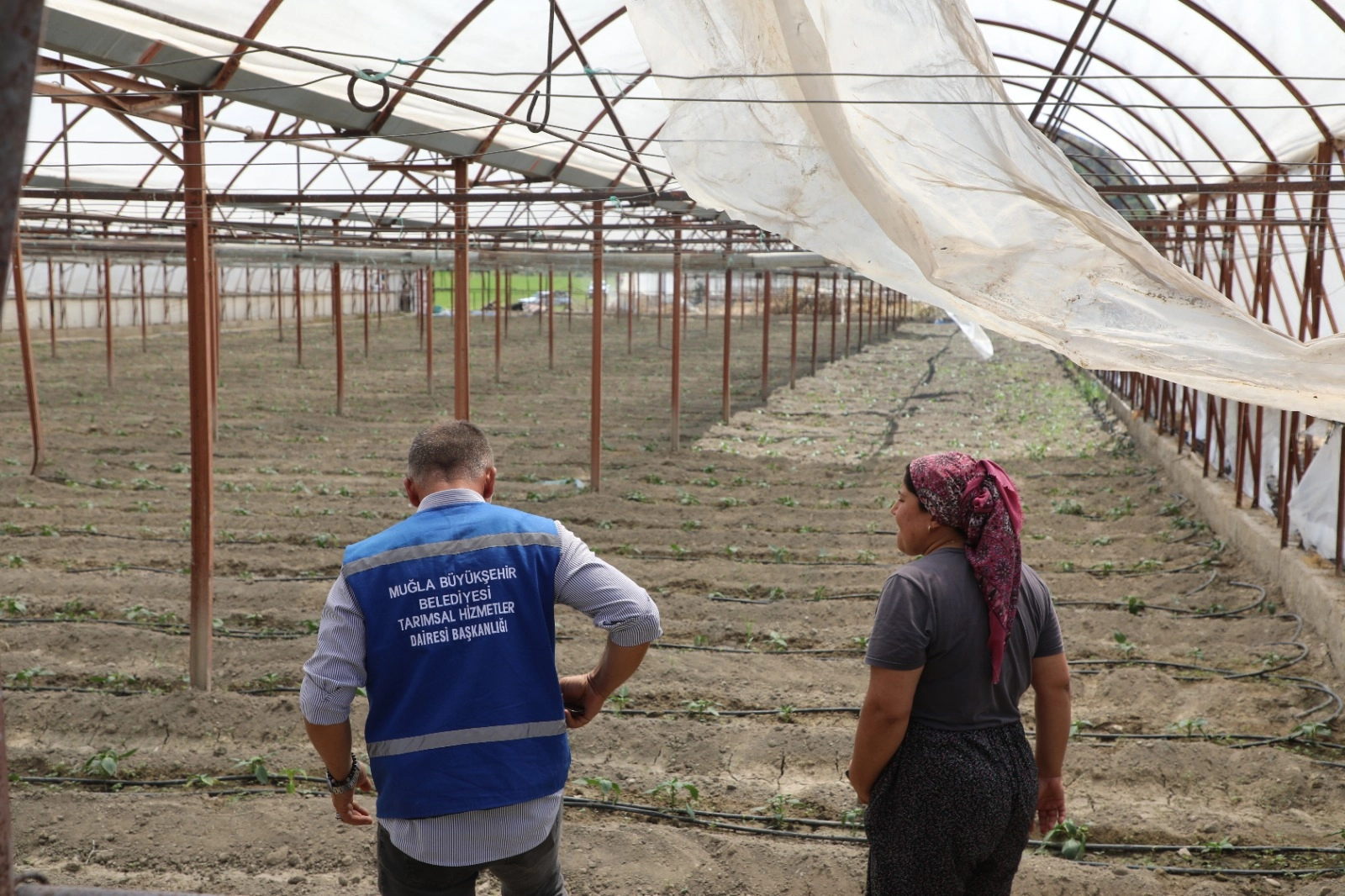 Muğla'da zarar gören üreticiye naylon desteği 