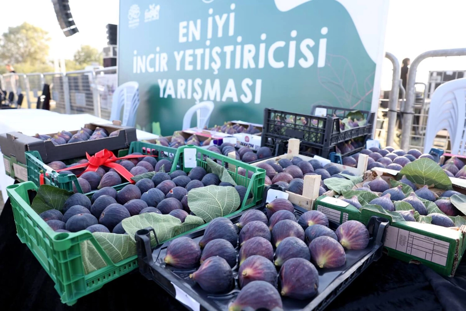 Bursa Nilüfer 12. Akçalar Fadıllı İncir Festivali'ne hazır 