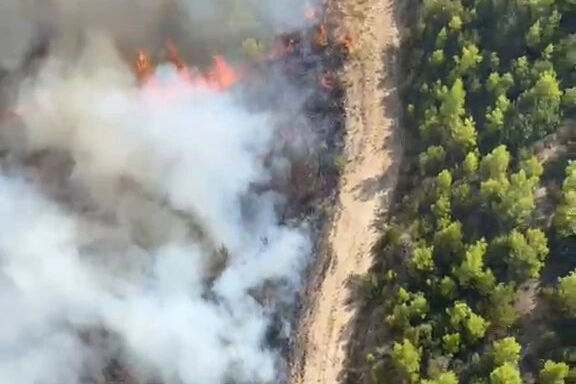 Antalya Serik’te orman yangını 