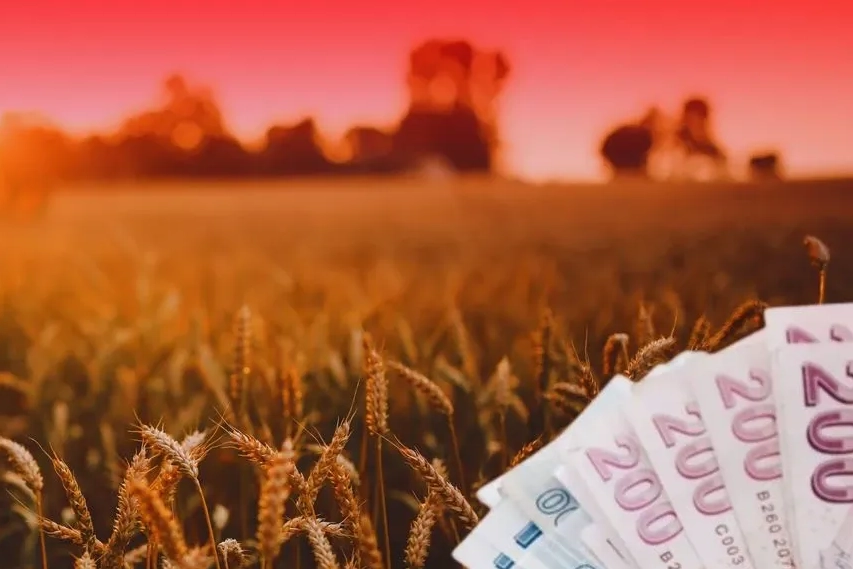 TMO’dan üreticiye 4,5 milyar TL'lik ödeme 