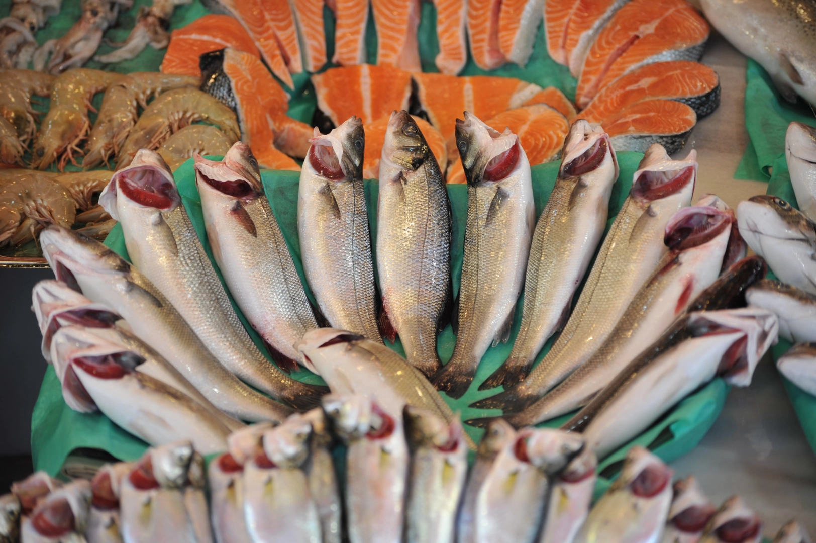 Su ürünleri sektörü Future Fish Eurasia’da buluşuyor 