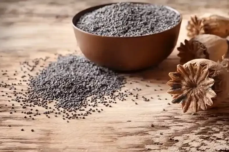 Haşhaş alım fiyatları belli oldu... Başvurular 30 Ekim’de sona erecek 