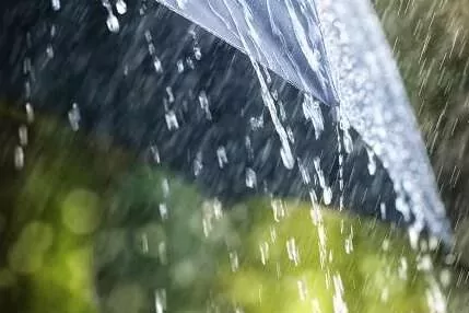 Meteoroloji’den 3 il için kuvvetli yağış uyarısı 