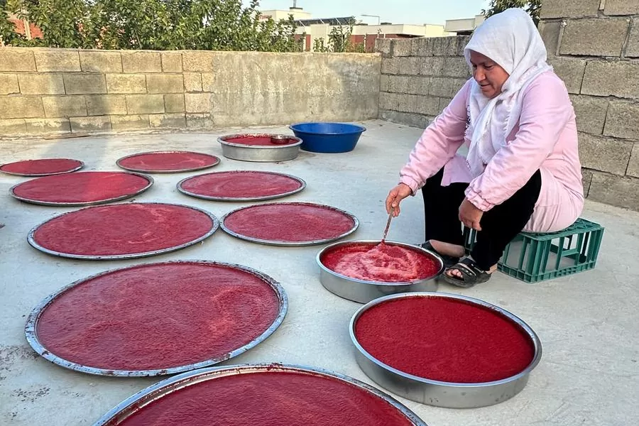 Adıyaman’da kış hazırlıkları hızlandı... Damlarda salça mesaisi başladı 