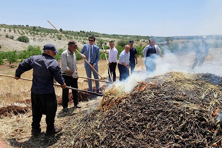 Adıyaman Belören'de firik hasadı başladı -