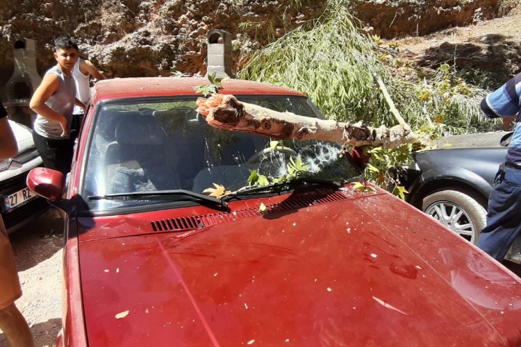 Adıyaman Besni'de otomobilin üstünde ağaç devrildi -