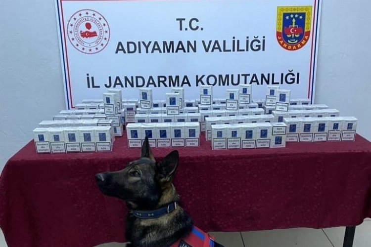 Adıyaman'da 100 paket kaçak sigara ele geçirildi -