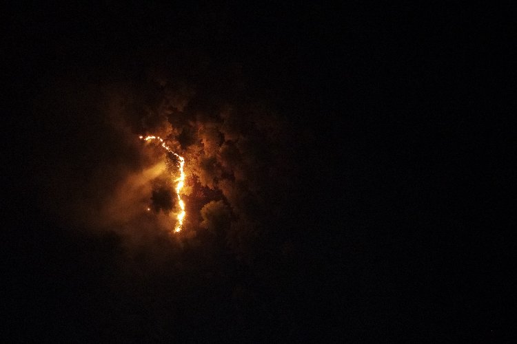 Adıyaman'da çıkan orman yangını kontrol altında -