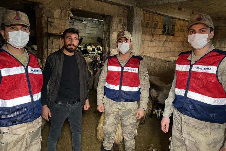 Adıyaman'da kaçırılan 160 koyun Gaziantep'te bulundu -
