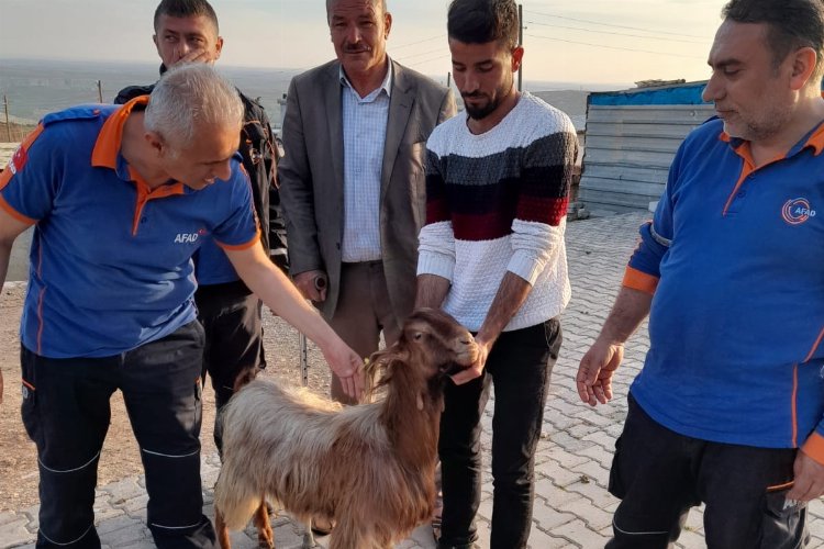 Adıyaman'da mahsur kalan keçi kurtarıldı -