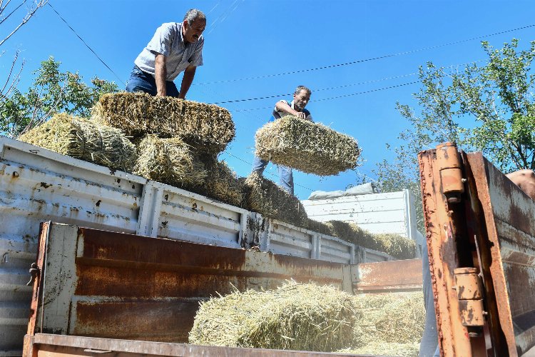 Afetzede çiftçilere kaba yem desteği -