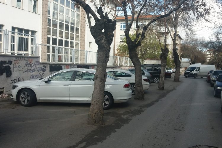 Afyonkarahisar'da otopark için ağaçların köküne asfalt döktüler! -