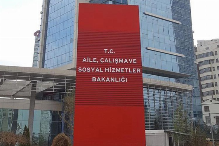 Aile'den kamuya 491 atama -