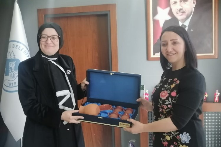 AK Parti MKYK üyesi Uygur Pazaryeri ilçesinde şehit annesini ziyaret etti -