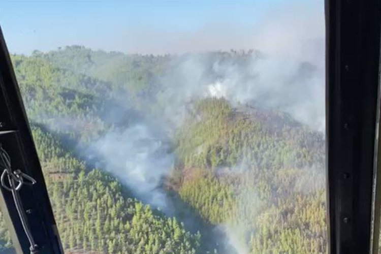 Antalya Alanya'da orman yangınına müdahale sürüyor -