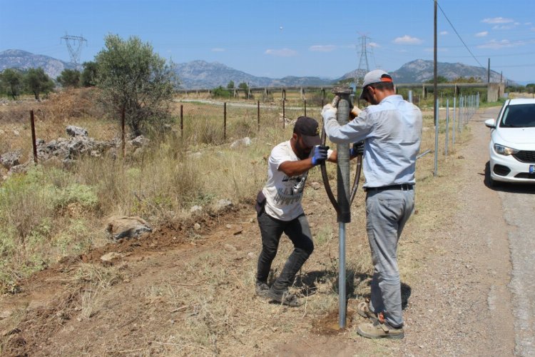 Antalya’da mezarlıklara bakım -