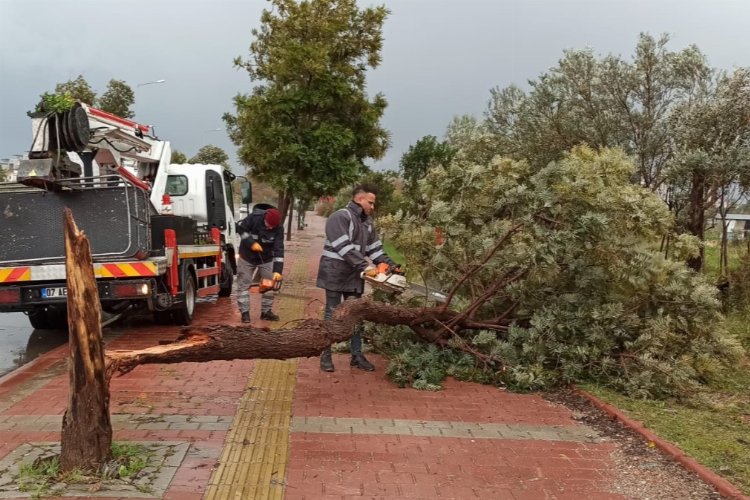 Antalya'yı fırtına vurdu -