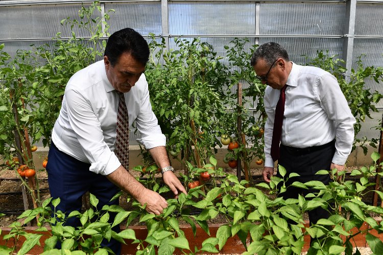 Ata mirası Bursa Osmangazi’de yeşeriyor -