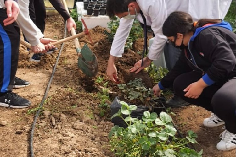 Ata Tohumları Bahçeşehir Koleji’nde yapay zeka ile yetiştirilecek -