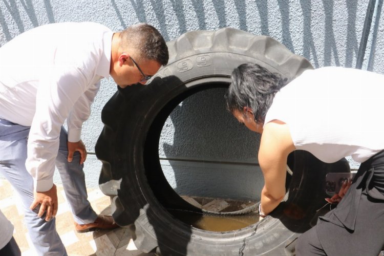 Atık lastiklere dikkat! Sivrisinek üretiyor -