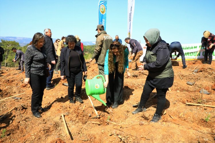 Avni Burak Yenice için hatıra ormanı oluşturuldu -