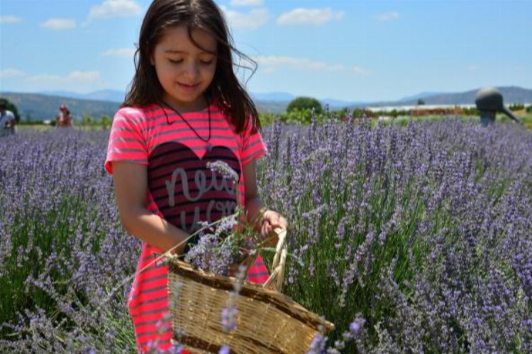 BAÇEM’de aromaterapinin şifalı dünyasına yolculuk -