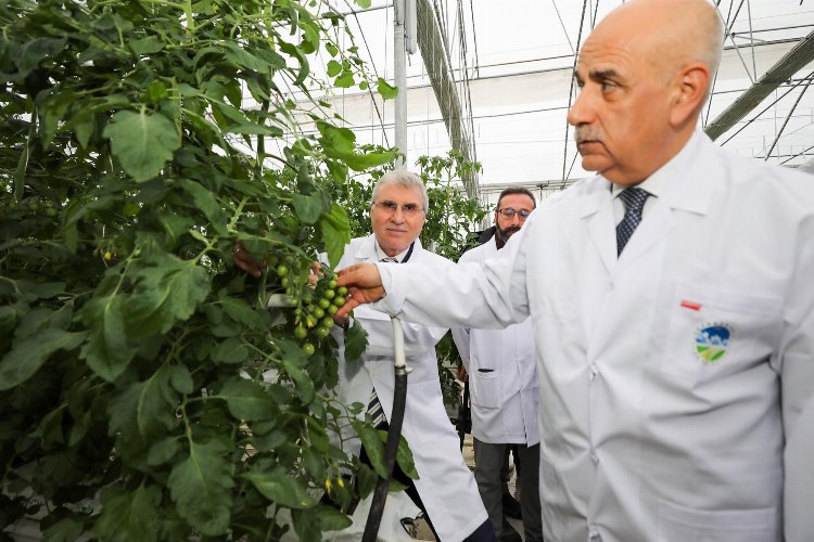 Bakan Kirişci'den Sakarya'ya tam not -