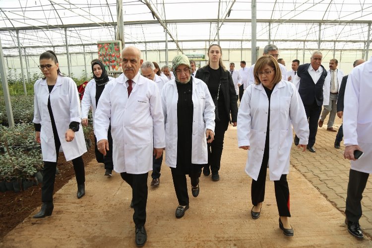 Bakan Kirişci Gaziantep serasında hasat yaptı -