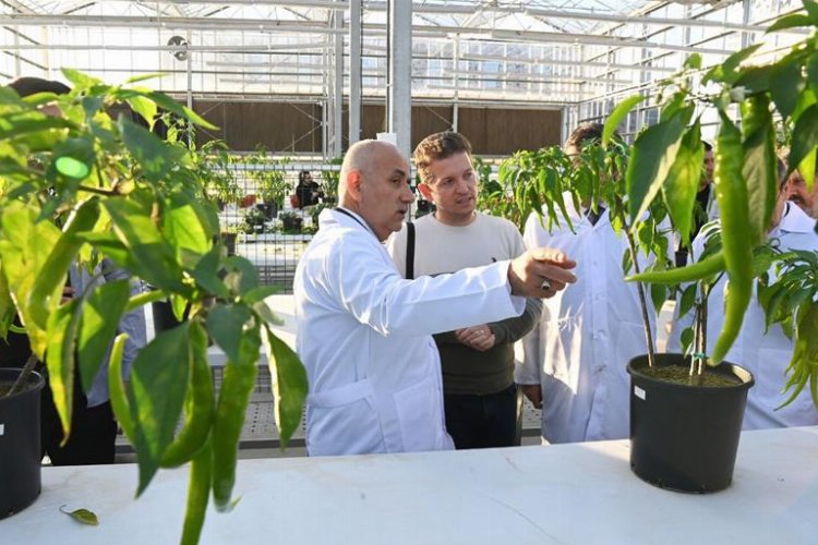 Bakan Kirişci, Kocaeli'de Ar-Ge seralarında -