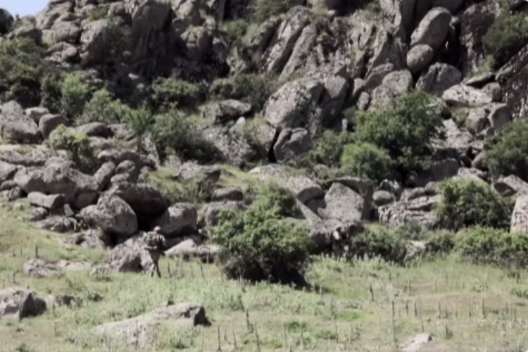 Bakan Yerlikaya: 2 terörist teslim oldu -