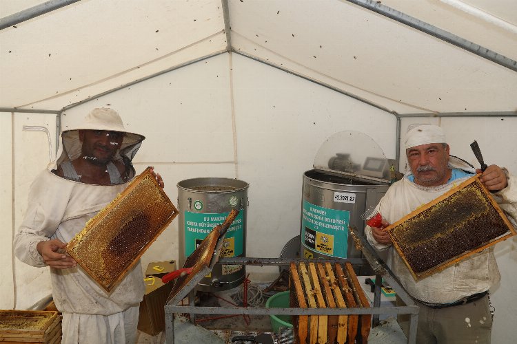 Bal hasadı başladı, modern arıcılıkta rekolteler arttı -