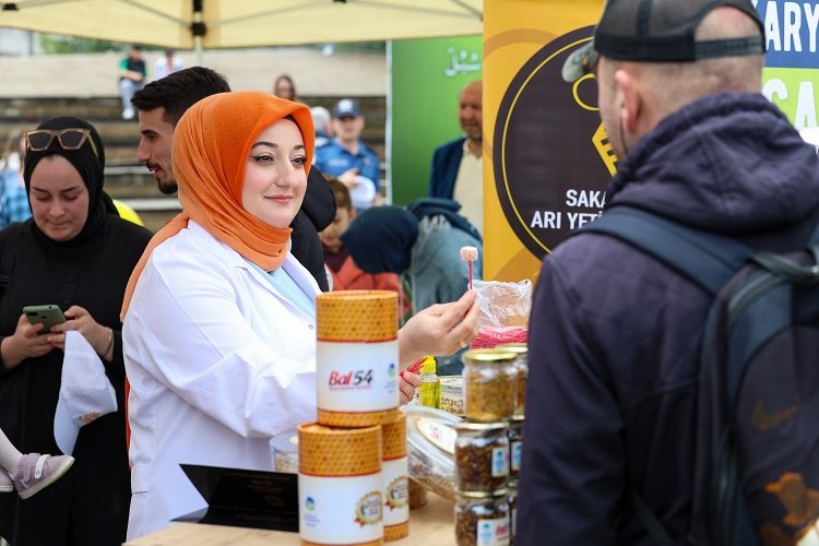 Bal yapan arı Sakarya -