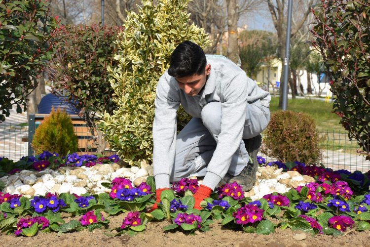 Balıkesir Edremit bahara erken girdi -
