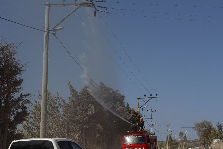 Bandırma'da elektrik hatlarında itfaiye destekli temizlik -