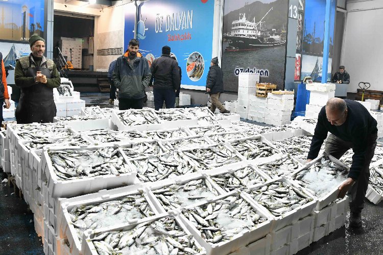 Barakadan modern tesise: Balık hali esnafı memnun -