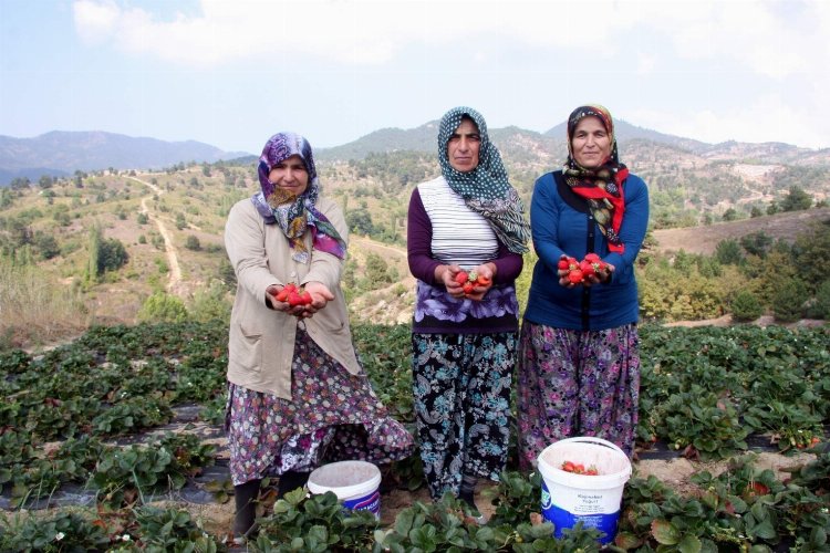 Başkan Aykurt duyurdu: Kırsalda üretim yapana müjde! -