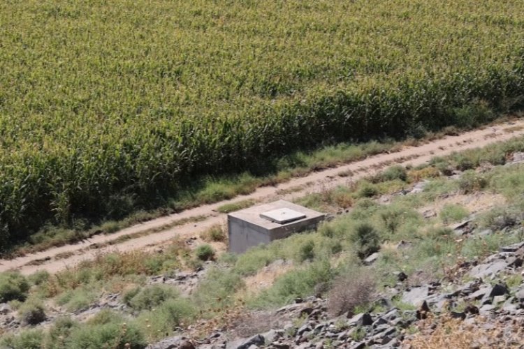 Başkan Savaş: Hataylı çiftçinin feryadını duysunlar -