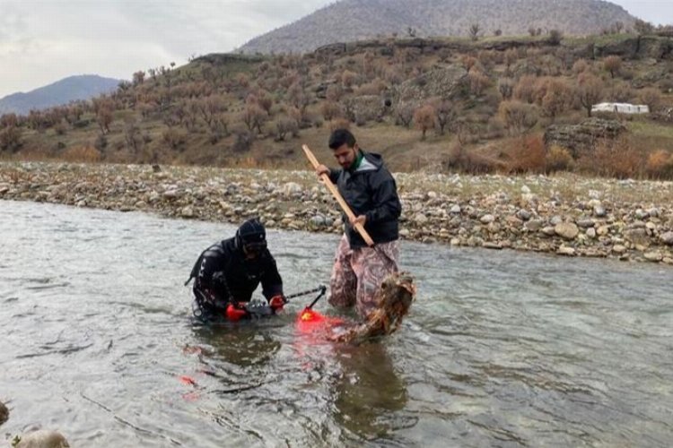 'Batman Çöpçü Balığı' için Sason Çayı temizleniyor -