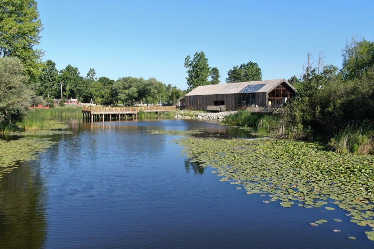Bayramda Sakarya'da turistik noktalar ziyaretçi akınına uğradı -