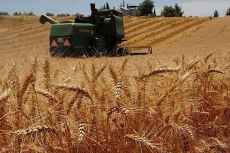 Bazı yağlarda Gümrük Vergisi sıfırlandı -