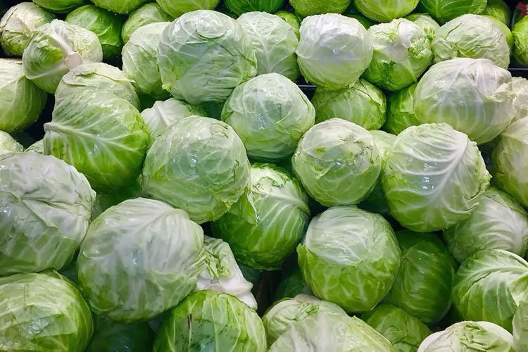 Beyaz lahana altın ayını yaşadı -