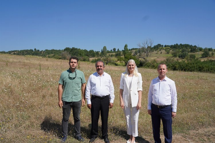 Bilecik bal kabağı yetiştirecek -