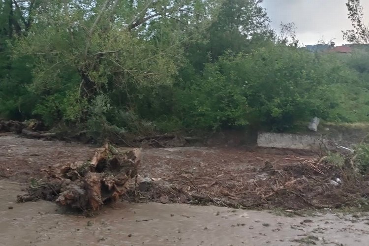 Bilecik Gölpazarı'nı sağanak vurdu: 1 ölü -