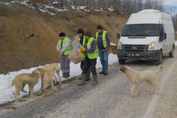 Bilecik’in Pazaryeri Belediyesi can dostlarını unutmadı -
