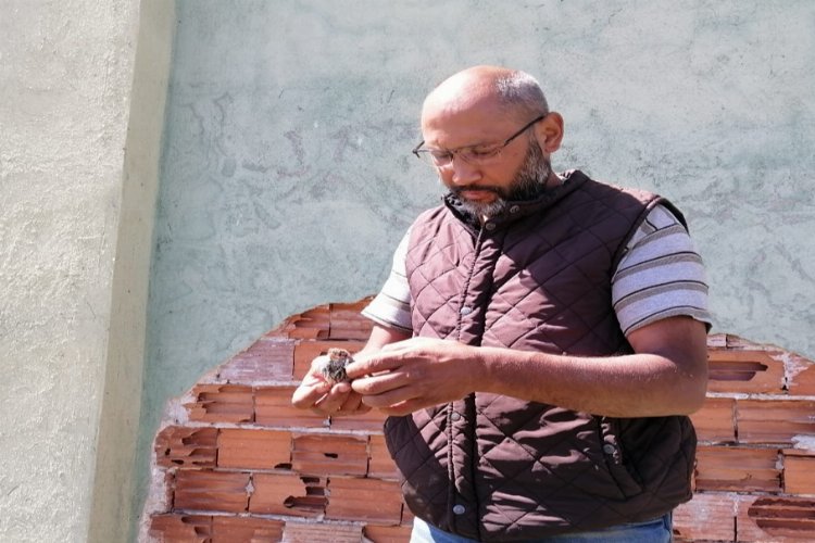 Bilecik Pazaryeri'nde minik serçeyi kurtaran dikkat -