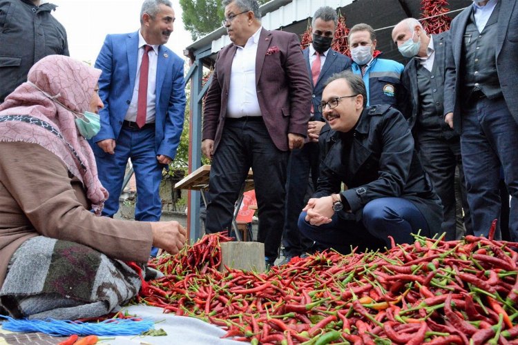 Bilecik'te 6 ayda 2 bin 561 çiftçiye destek verildi -